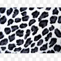 �ڰױ��Ʊ���-������