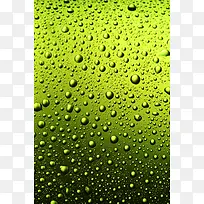 绿色水珠背景-空若网 绿色水珠背景-空若网
