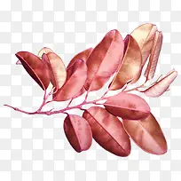 粉色树叶实拍-空若网 粉色树叶实拍-空若网