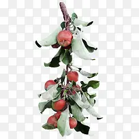 ƻ��-������