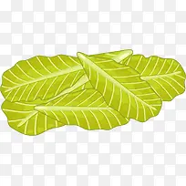 三明治生菜食材-空若网 三明治生菜食材-空若网