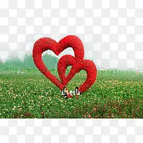 爱心玫瑰-空若网 爱心玫瑰-空若网