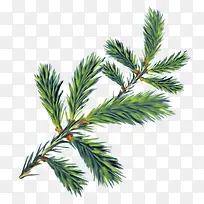 װ����ɫ ��֦-������