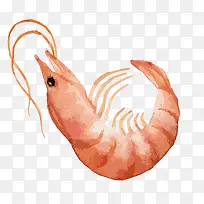 ���մ�Ϻʸ���ز�-������