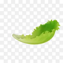 矢量绿色蔬菜生菜清晰叶子生菜叶-空若网 矢量绿色蔬菜生菜清晰叶子生菜叶-空若网