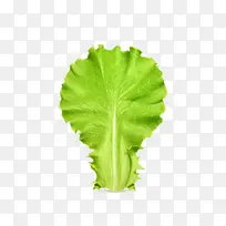 生菜叶子-空若网 生菜叶子-空若网