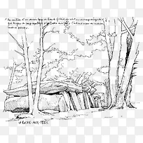 ��ͨ�ֻ泡��-������