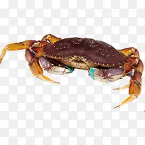 餐饮食物-空若网 餐饮食物-空若网