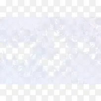 白色霜花-空若网 白色霜花-空若网