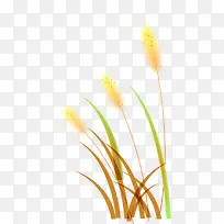 С��-������