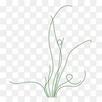 小草-空若网 小草-空若网