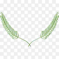 ��ɫ��������С��-������