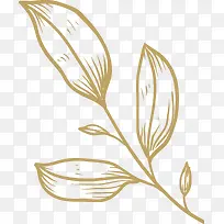 黄色线条小草-空若网 黄色线条小草-空若网