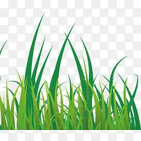 绿草节日装饰假草-空若网 绿草节日装饰假草-空若网
