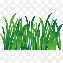 绿草装饰假花假草-空若网 绿草装饰假花假草-空若网