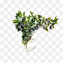 杯子里的绿植-空若网 杯子里的绿植-空若网