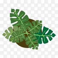 绿植素材-空若网 绿植素材-空若网