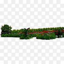 创意高清摄影花园花坛花卉-空若网 创意高清摄影花园花坛花卉-空若网