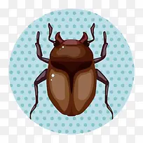 漏洞的出来的昆虫-空若网 漏洞的出来的昆虫-空若网