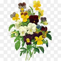 水彩各色花朵-空若网 水彩各色花朵-空若网