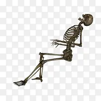 骸骨-空若网 骸骨-空若网