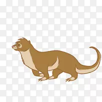 猫貂食肉动物水獭-空若网 猫貂食肉动物水獭-空若网