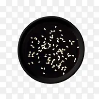 ��ɫ��״ʳ��-������