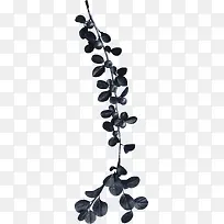 植物-空若网 植物-空若网