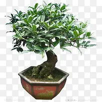 ����-������