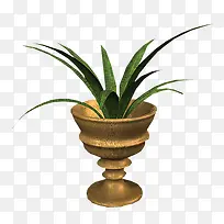 ���Ű��������-������