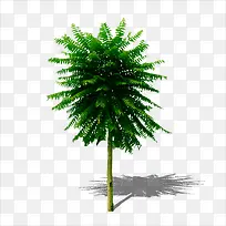 ����-������