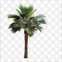 叶子树-空若网 叶子树-空若网