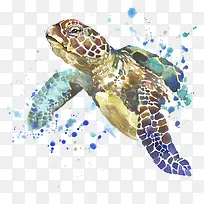 �����ֻ�-������