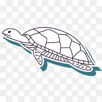 海龟-空若网 海龟-空若网