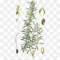 ʸ���Ե��������ز�-������