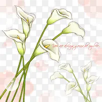 ����������Ƭ�����ز�-������