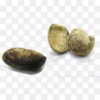 辣椒肉豆蔻种子-种子-空若网 辣椒肉豆蔻种子-种子-空若网