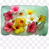 �л�������ƻ��꿪��ֲ��-������