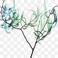 树枝-空若网 树枝-空若网