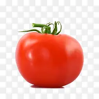红色西红柿-空若网 红色西红柿-空若网