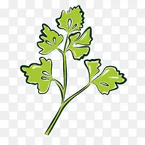 矢量香菜-空若网 矢量香菜-空若网