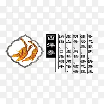西洋参-空若网 西洋参-空若网