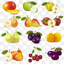 矢量水果-空若网 矢量水果-空若网