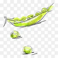 豌豆-空若网 豌豆-空若网