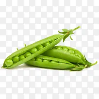 绿色蔬菜-空若网 绿色蔬菜-空若网