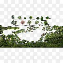 园艺风景树-空若网 园艺风景树-空若网