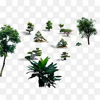 装饰风景树-空若网 装饰风景树-空若网