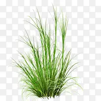 С��-������