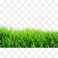 �Ӳ�-������