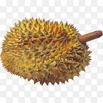 怪味水果榴莲-空若网 怪味水果榴莲-空若网